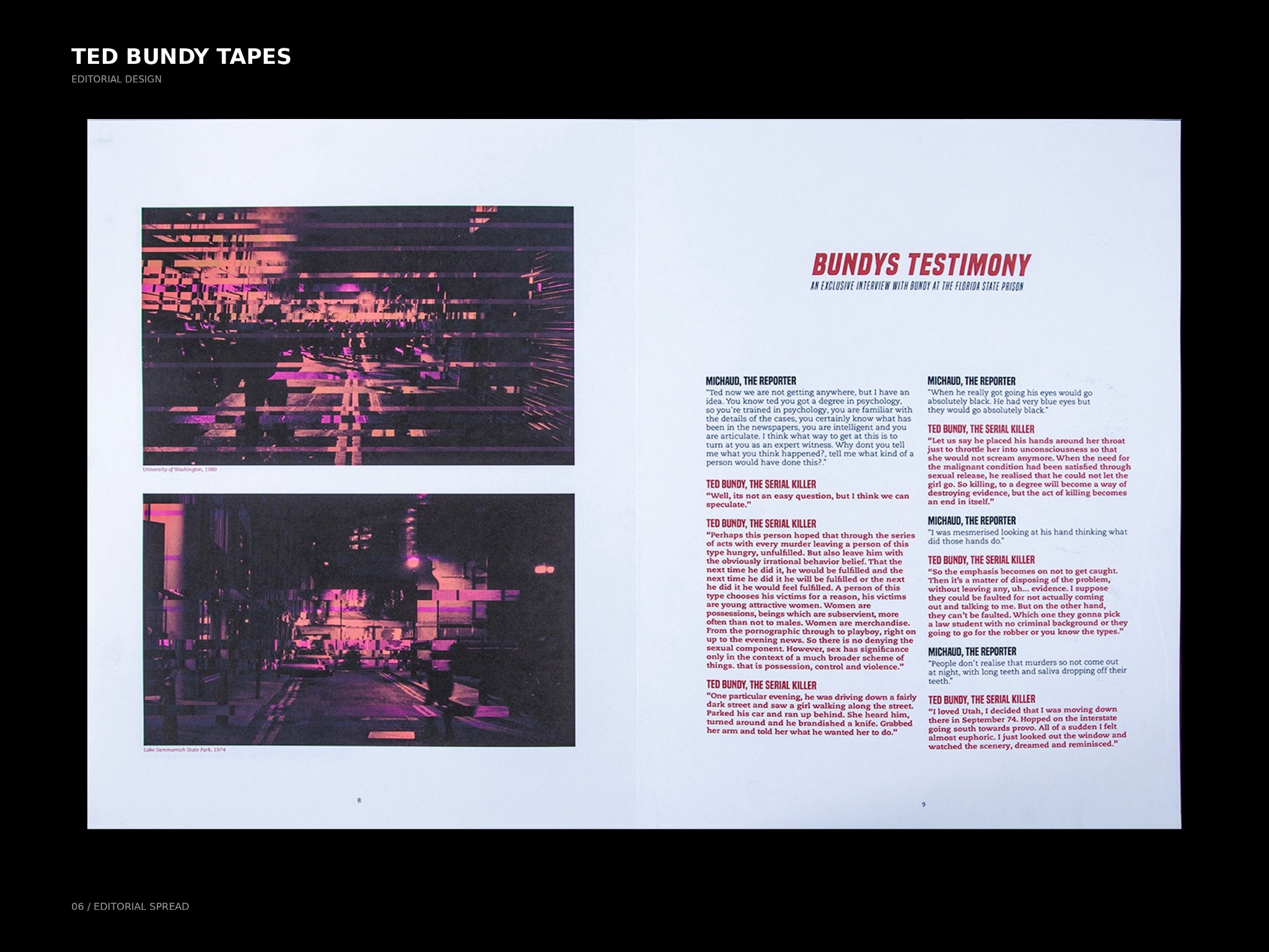 Ted Bundy Tapes — Testimony